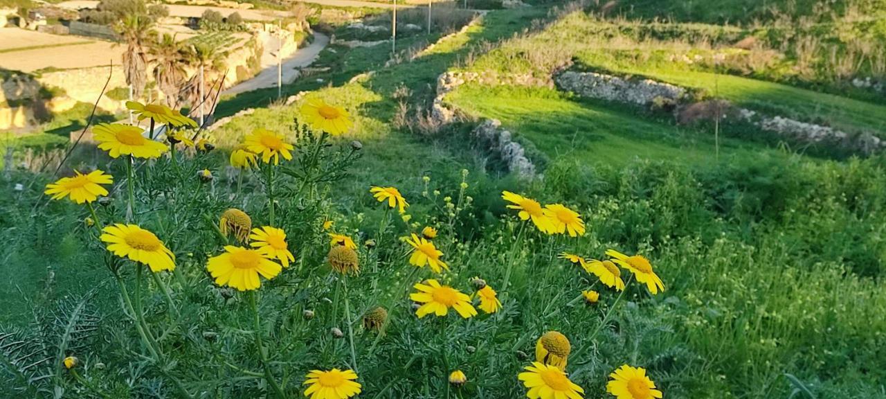 Grotto's Paradise Bed & Breakfast Għarb